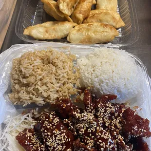 Beef plate and pot stickers