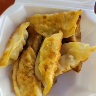Pork fried dumplings