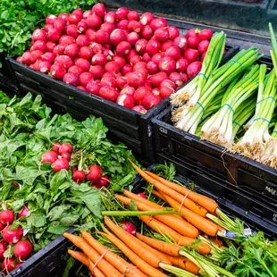 radishes and carrots