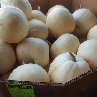 White Pumpkins