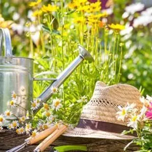 3 Types of Garden Tools &amp; How to Use Them