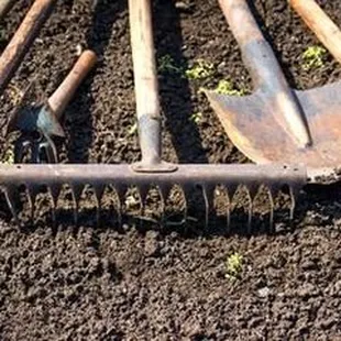 5 Garden Tools Every Beginner Should Have