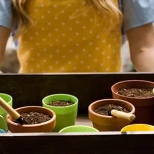 3 Garden Tools That You'll Need This Spring