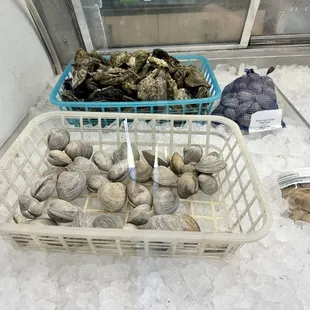Clams and oysters