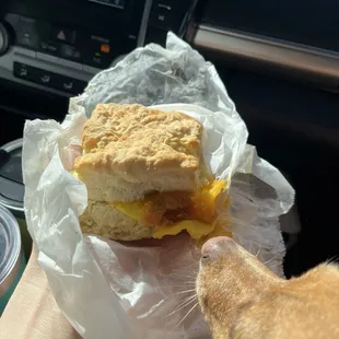 Egg and cheese biscuit. The BEST biscuits I&apos;ve ever had! Moose agrees!