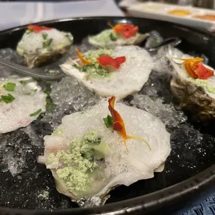 Chilled Gin &amp; Tonic Oysters