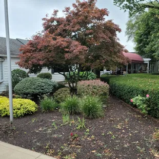 the front yard of a home