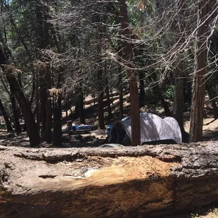 Side view of the campsite.