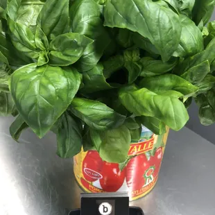 Locally sourced and fresh ingredients
