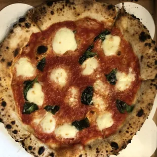 Pizza Margherita