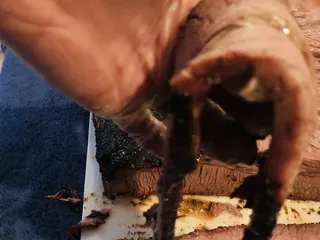 Willie's Reliable Meat Co