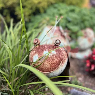 Cute little guy outside by their banquet hall