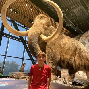 Mammoth