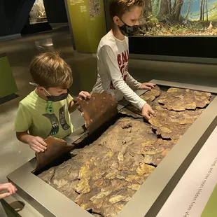 Cool hands on exhibits