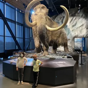 The mammoth was amazing