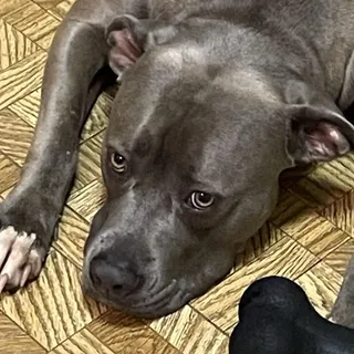 K O.