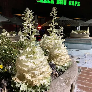 the outside of the restaurant