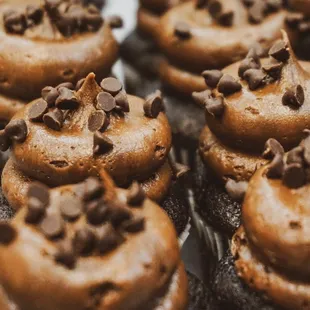 chocolate frosted cupcakes