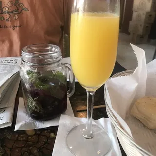 Mimosa