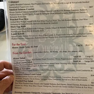 a hand holding a menu