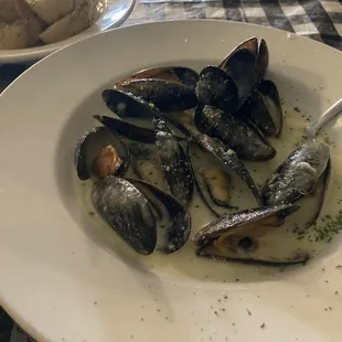 Mussels in white sauce appetizer
