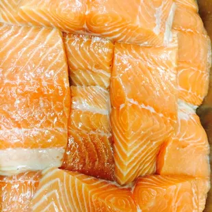 Fresh salmon