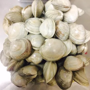 Fresh clams !!!