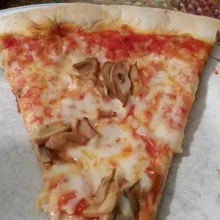 Mushroom pizza