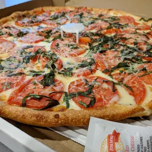 Large thin crust margherita pizza. Go-to takeout/delivery.