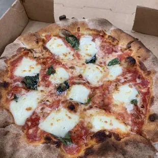 Pizza Margherita