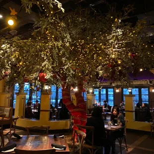 The beautiful tree inside.