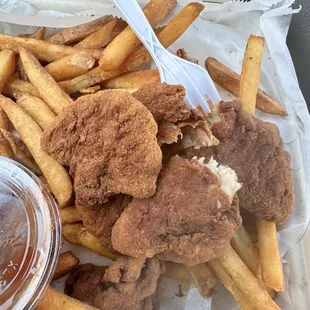 Overcooked Chicken Tenders and Fries