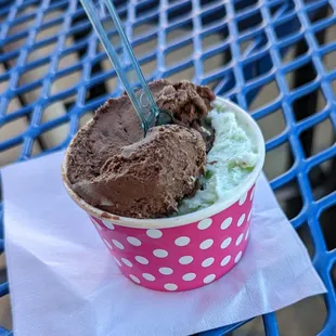 Dark Chocolate and Mint gelato