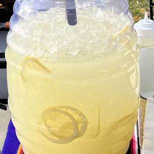 Homemade Lemonade