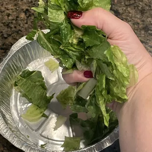 I have very small hands and as you can see my salad fits in one hand.