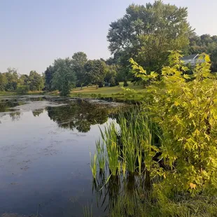 Beautiful evening at the winery.