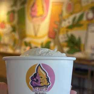 Bella Vita Ice Cream
