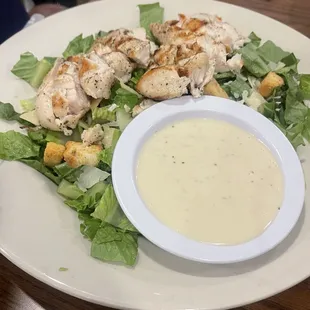 Chicken Caesar Salad