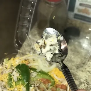 MOLDED Turkey Salad