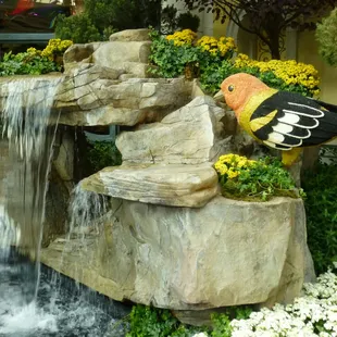Terrific waterfall