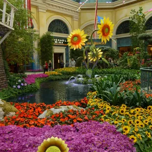 Pond with water fountains and beautiful flowers and plants.