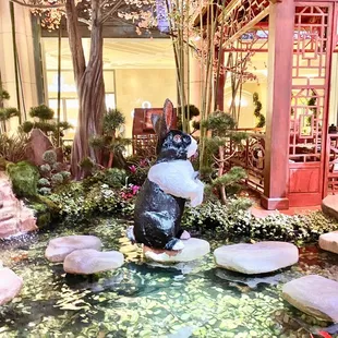 @ Bellagio Conservatory and Botanical Garden - 2/2/23
