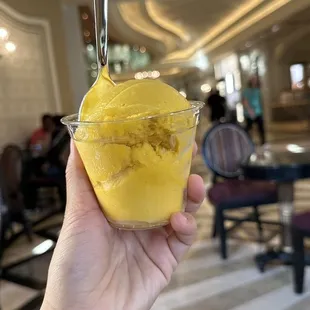 Mango Sorbet