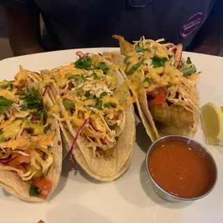 Spicy Fish Tacos