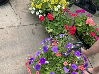 Blair Garden Center & Greenhouse