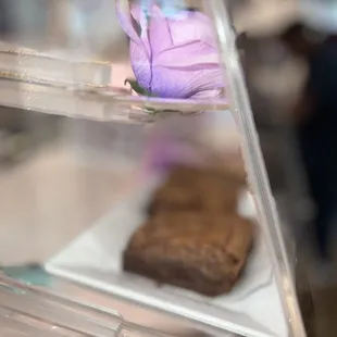 a single flower on a plate