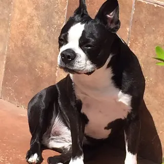 Nina D.