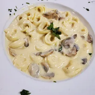 Tortellini Michelangelo