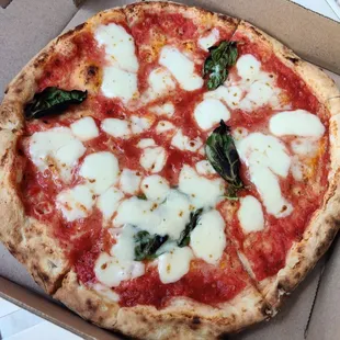 Medium size margherita