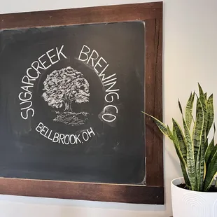 a chalkboard and potted plant